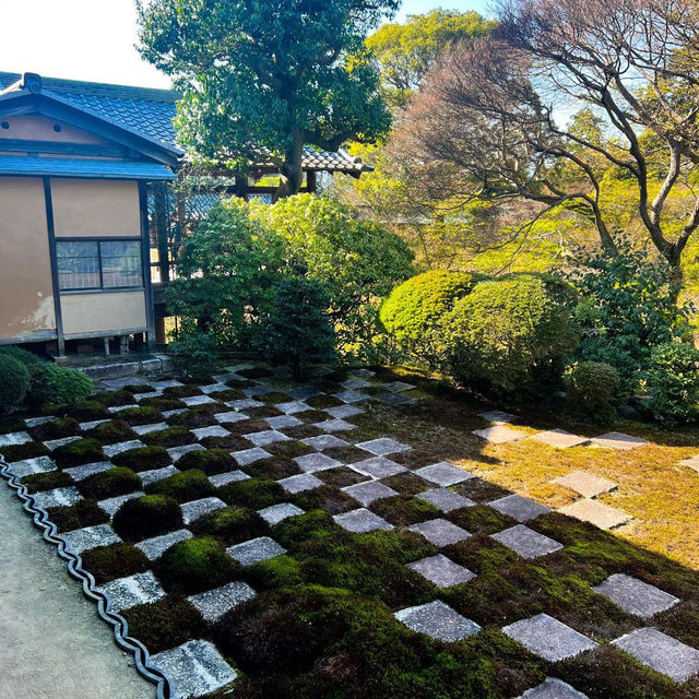 Tranquility at Tōfuku-ji Temple