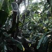 The Wanderer | คาเฟ่บรรยากาศธรรมชาติ