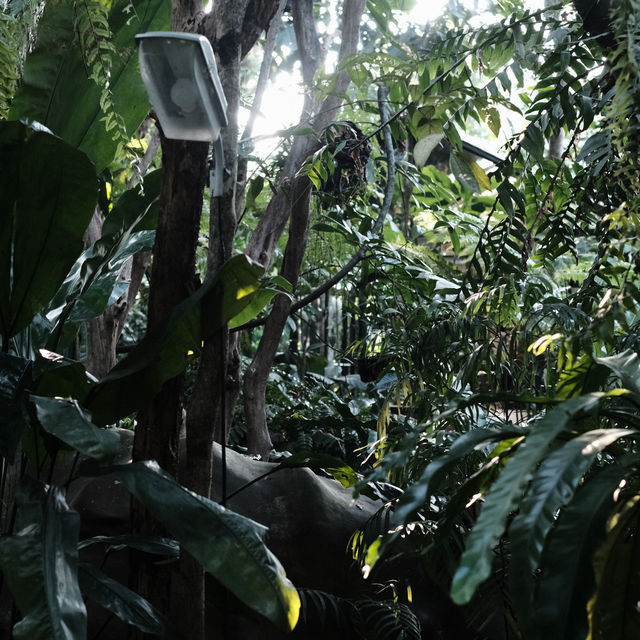 The Wanderer | คาเฟ่บรรยากาศธรรมชาติ