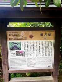 【神奈川県/北鎌倉　秋の明月院も趣がある庭園や風景を堪能できてオススメ！】