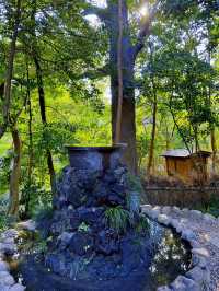 【大宮】最強パワースポットの宝庫📍大宮 氷川神社⛩️縁結びや商売繁盛にもオススメ💓可愛いスポットも🈶