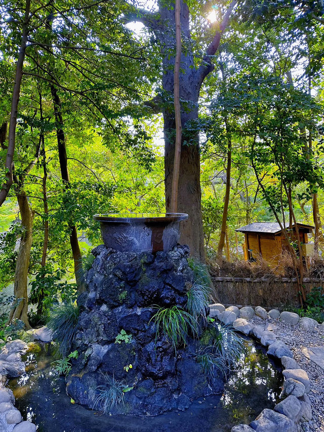 【大宮】最強パワースポットの宝庫📍大宮 氷川神社⛩️縁結びや商売繁盛にもオススメ💓可愛いスポットも🈶