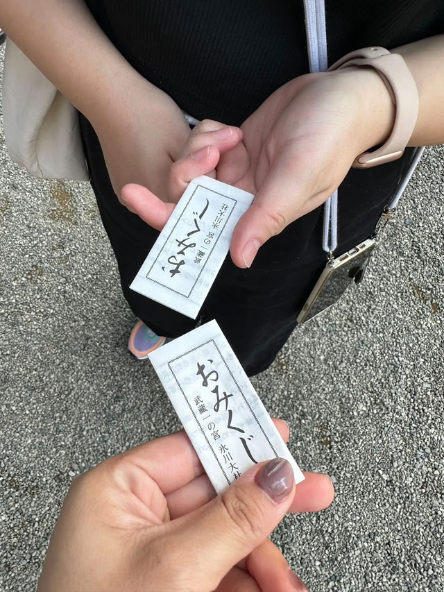 【大宮】最強パワースポットの宝庫📍大宮 氷川神社⛩️縁結びや商売繁盛にもオススメ💓可愛いスポットも🈶