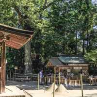 世界文化遺產～宇治上神社