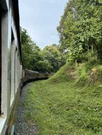 นั่งรถไฟเชียงใหม่-แพร่ | ฤดูฝน 🚃⛰️🌿🌳