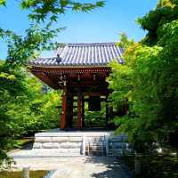 【京都】この秋行きたい！京都神社仏閣巡り 智積院