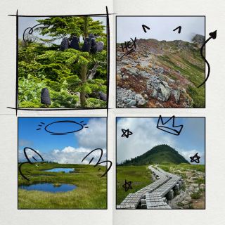 駒岳：綠野仙境的夢幻 🌄🍃