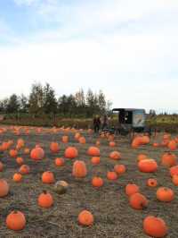 【バンクーバー🇨🇦】カナダで日本とは一味違うハロウィンを🎃