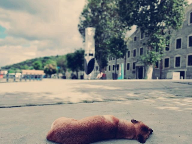 土耳其🇹🇷】伊斯坦布爾：City walk漫遊當地居民區，感受古老文明的魅力和韻味