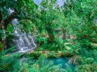 เที่ยวเชียงใหม่เหมือนอยู่ในป่าหิมพานต์ 