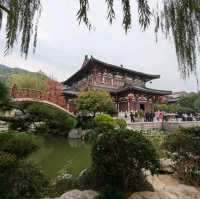 the sad love story from xi'an.