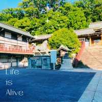 ちんぜいたいしゃすわじんじゃ鎮西大社諏訪神社