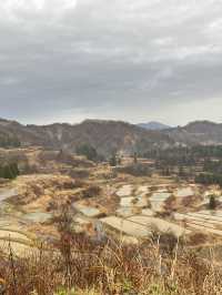 【新潟県･十日町市】絶景棚田スポット！🌾