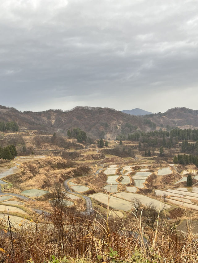 【新潟県･十日町市】絶景棚田スポット！🌾