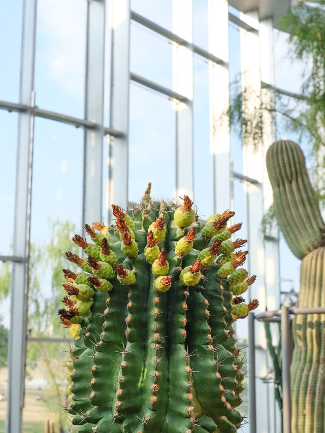 Gardens by the Bay in Shanghai!