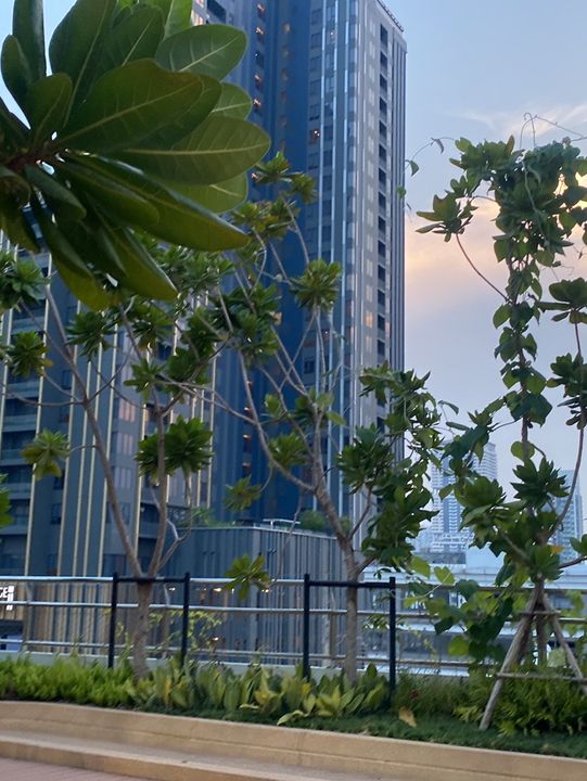 Marche Thonglor คอมมูนีตี้ใหม่ ณ ทองหล่อ
