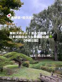 【佐久市】まるで日本庭園！？無料で楽しむ中嶋公園🌳