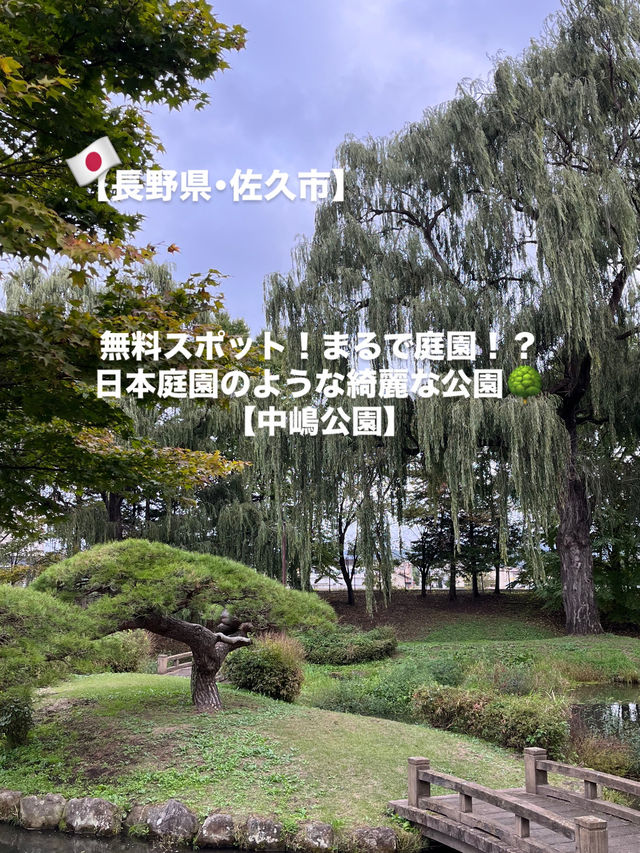 【佐久市】まるで日本庭園！？無料で楽しむ中嶋公園🌳