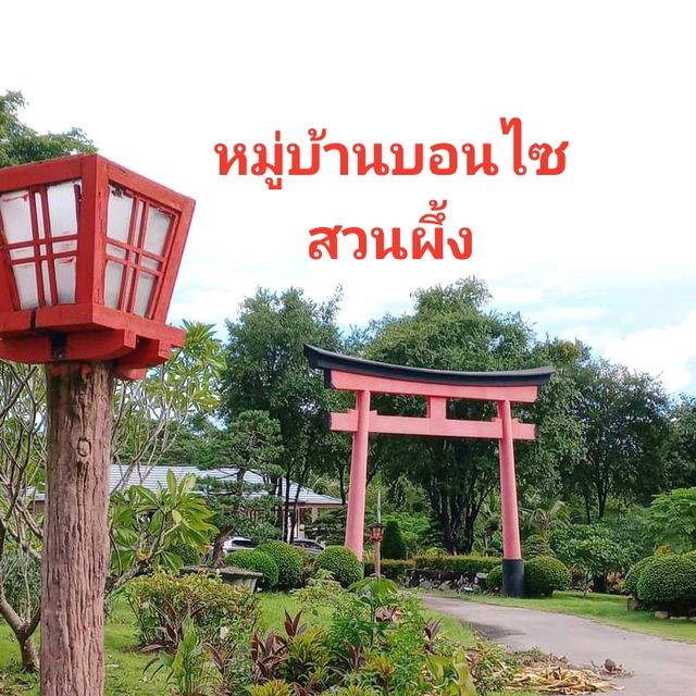 ชมสวนบอนไซใหญ่มาก ที่ราชบุรี🌳
