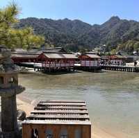 Island of Wonder: Exploring the Beauty and Charm of Miyajima!