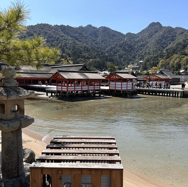 Island of Wonder: Exploring the Beauty and Charm of Miyajima!
