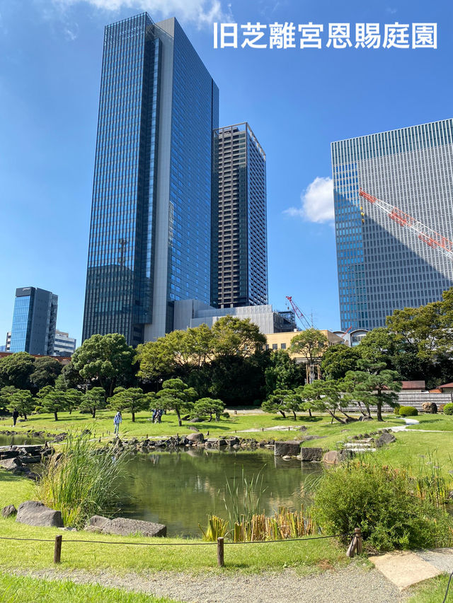 【東京】東京タワーに増上寺！浜松町もバイクシェアで快適観光