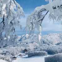 玩雪也可以選日本東北藏王