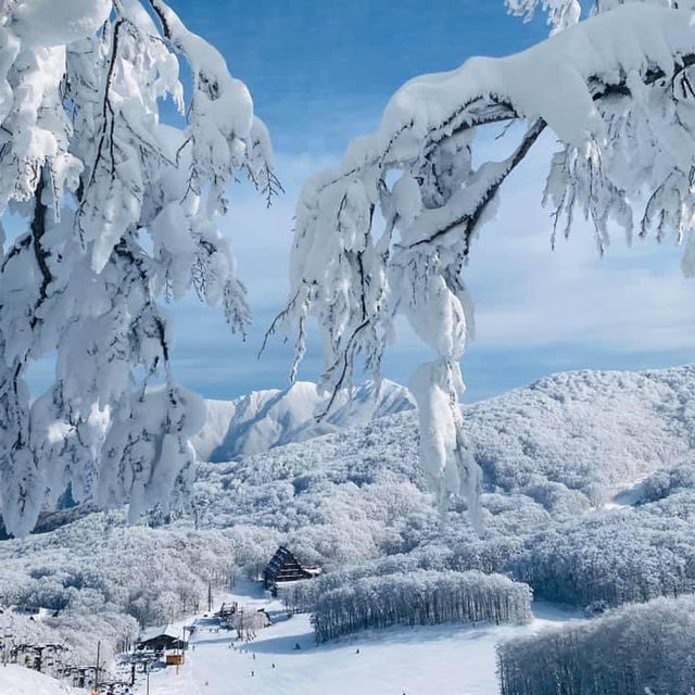 玩雪也可以選日本東北藏王