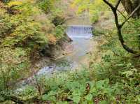 鳴子峡遊歩道
