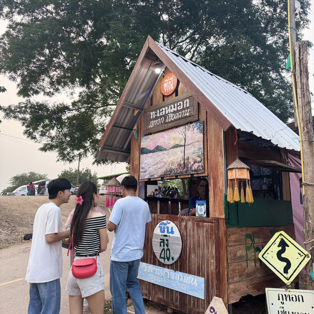 🏜️ชมพระอาทิตย์ขึ้น และทะเลหมอก ภูทอก
