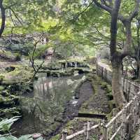 鋸南町　鋸山