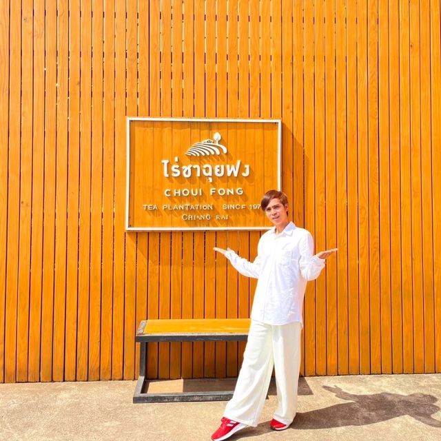 แวะกินชาเขียวสักแก้ว ไร่ชาฉุยฟง