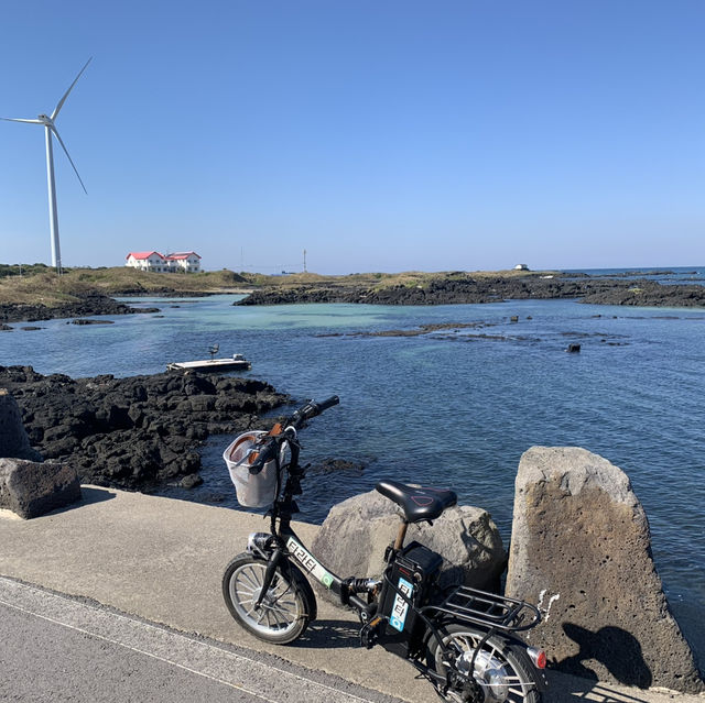 화창한 가을날의 제주도🏞️ 가족들이랑 한라산부터 월정리 해수욕장까지💕