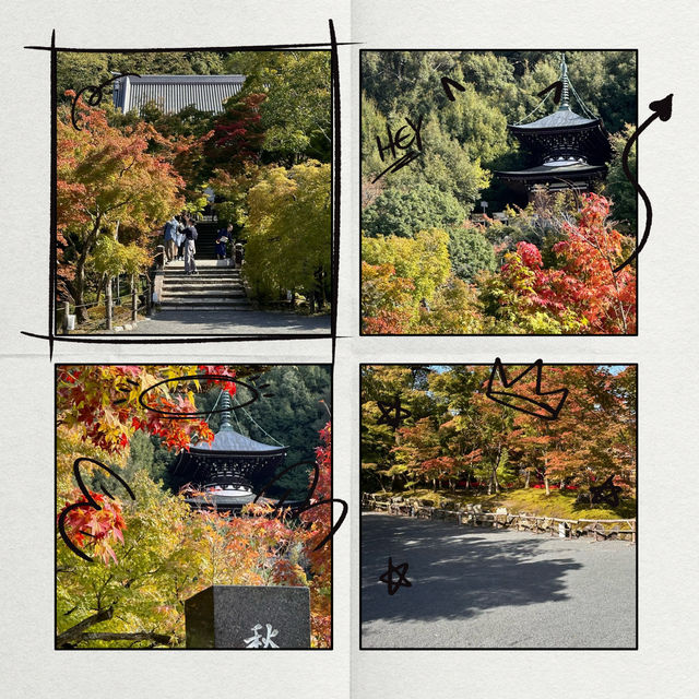 住吉大社：秋色中的神聖與靜謐 🍁