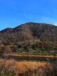 【群馬】紅葉の山々を満喫できる『赤城山』
