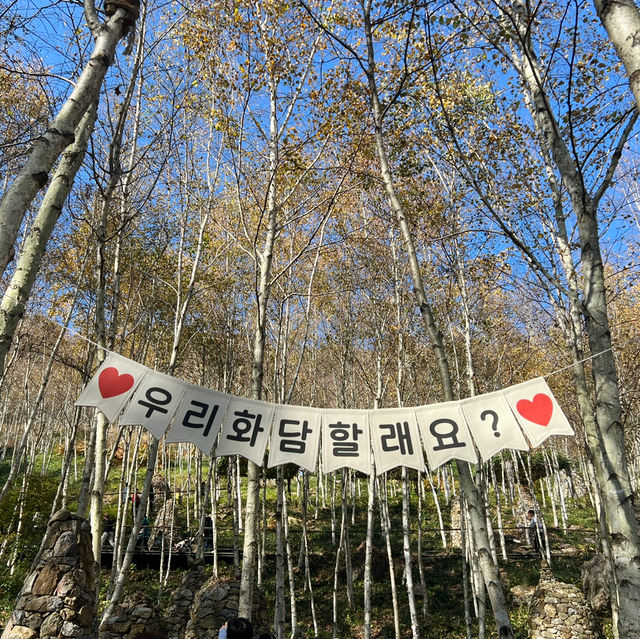 경기도 광주 여행 가을 단풍 화담숲