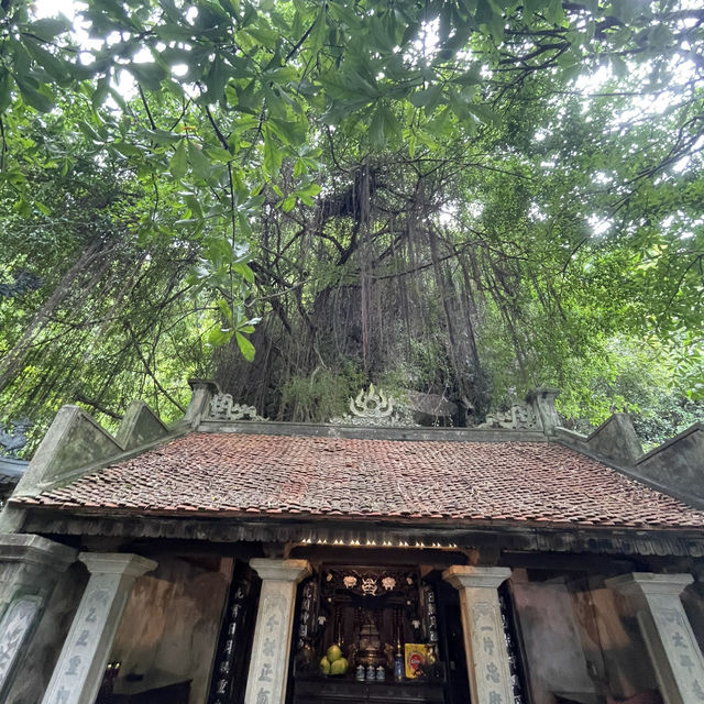 ベトナム旅
