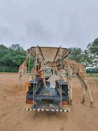 เที่ยวสวนสัตว์เหมือนฟืลแอฟริกาที่ ซาฟารีพาร์ค🦒