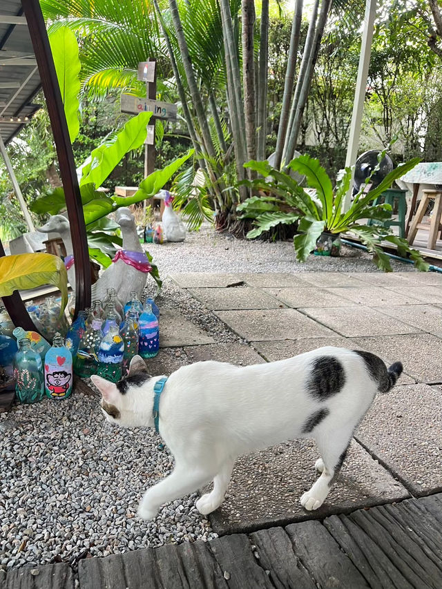 ฝนตกแดดออก Home cooking☔️🌤️