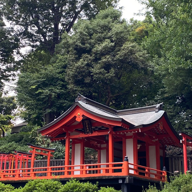 水天宮🐲歷史的韻味！⛩️✨