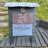 【ベーグル🥯】佐倉市🥯Marusu bagel(マルスベーグル)