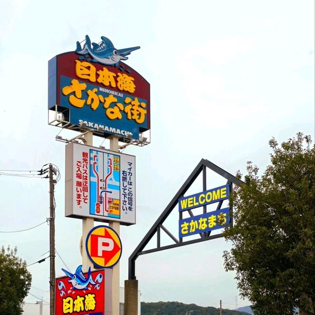 日本海最大漁市場吃越前蟹🦀