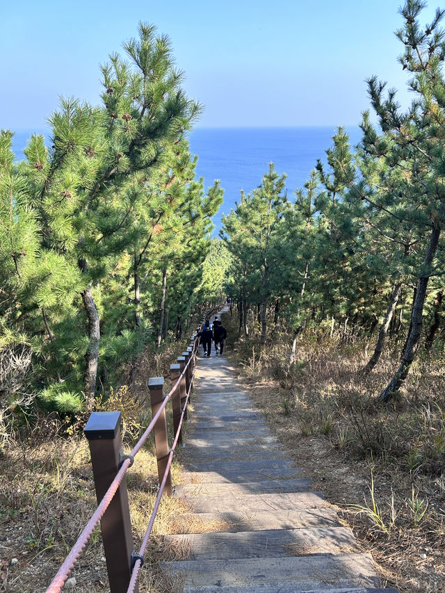🇰🇷浦項✈️ 砂防紀念公園사방기념공원 