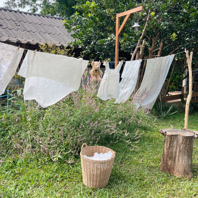 คาเฟ่สุดคิ้วท์ที่เชียงราย 🧺🌼Vanilla cabin