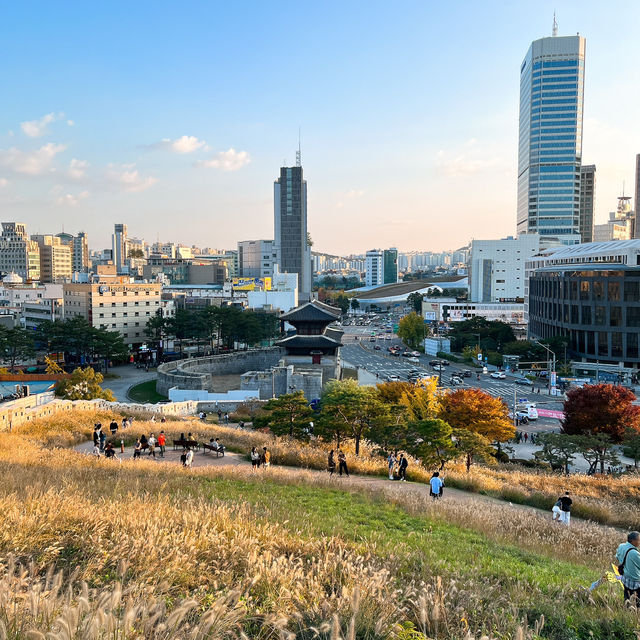 도심속 갈대밭