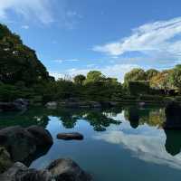 浮間公園：小橋流水🌸🏞️