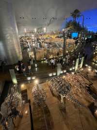 福井観光におすすめ🥰🦕見どころたっぷり！福井県立恐竜博物館🦕