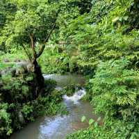 台北最佳親水步道：內湖大溝溪生態治水園區