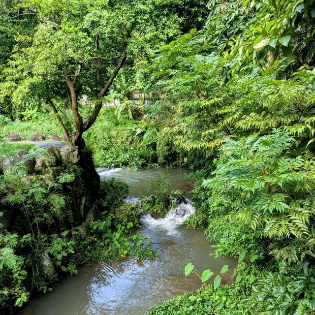台北最佳親水步道：內湖大溝溪生態治水園區