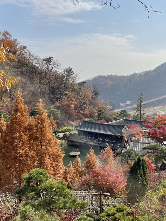 제철맞은 가을 화담숲에서 단풍구경🍁🍂